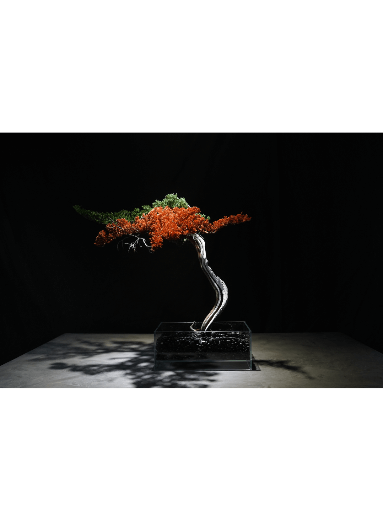 佐藤駿 / Shun Sato《BONSAI ART（２色） No.01》