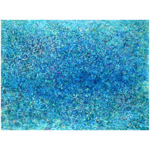 ayakaumeda19