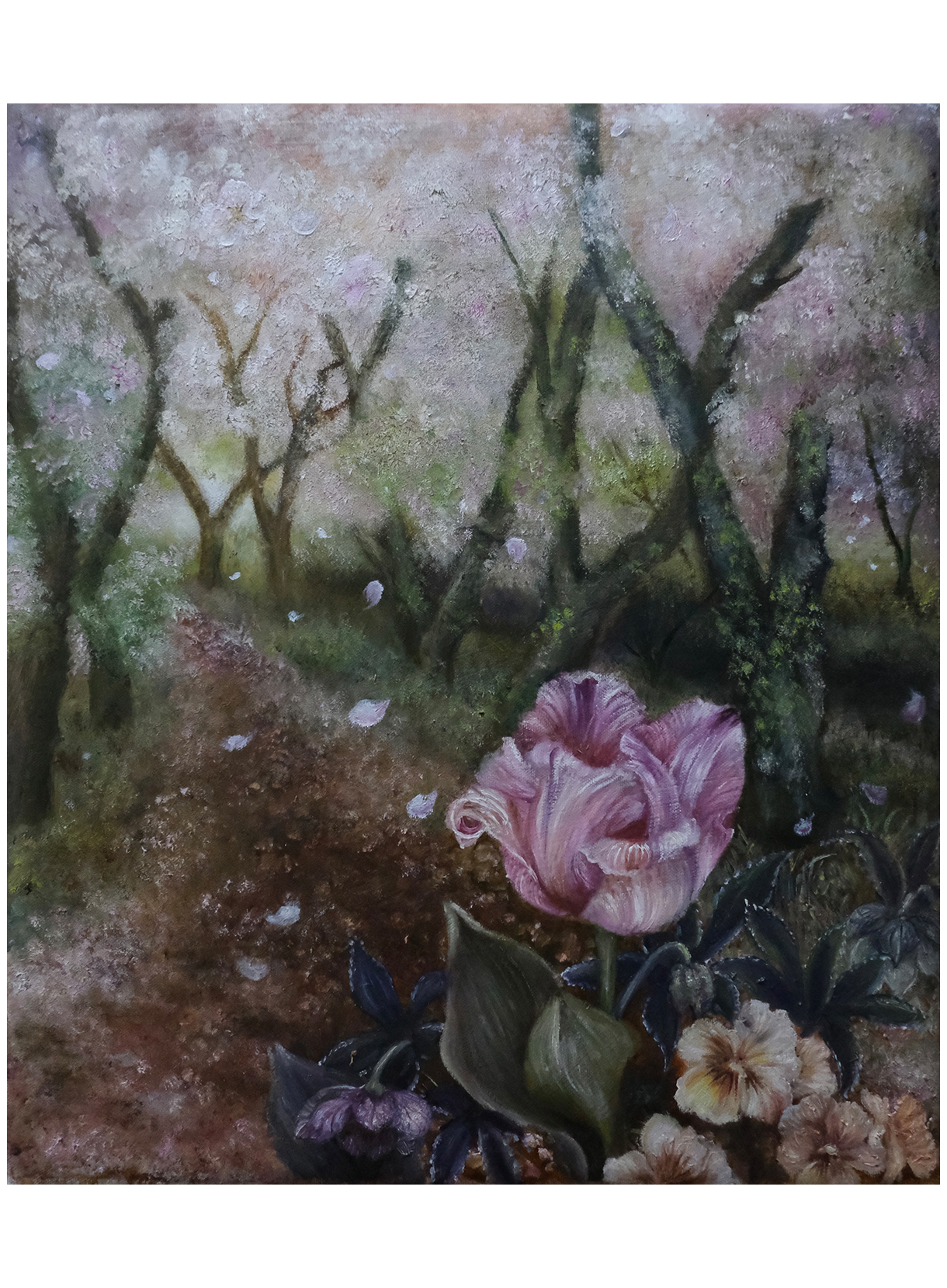 井下紗希 / Saki Ishita《あたたかい夢》