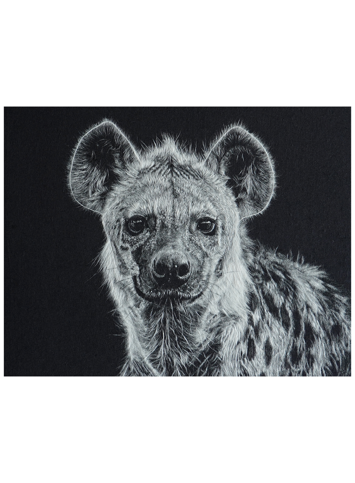 Aki Yamanaka《Crocuta（クロクタ）》