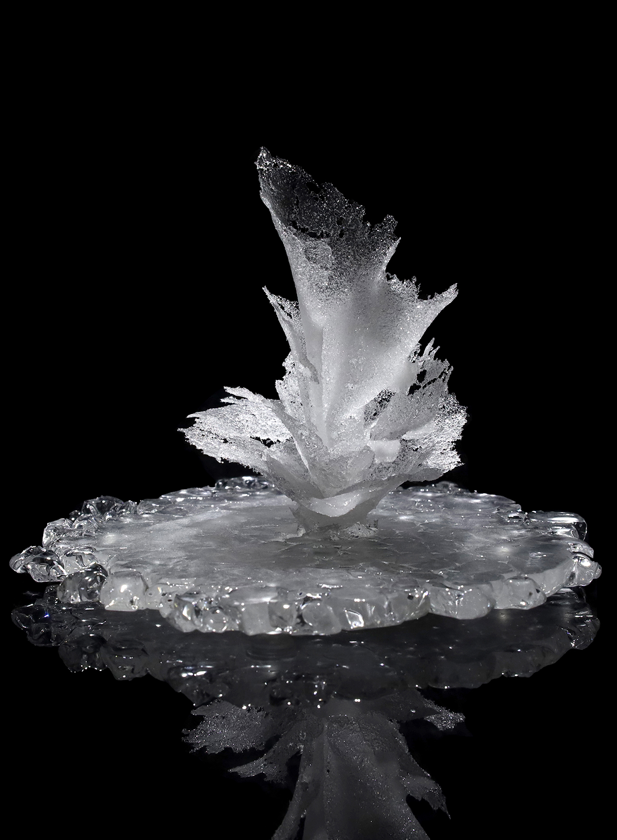 加藤千佳《frost flower》