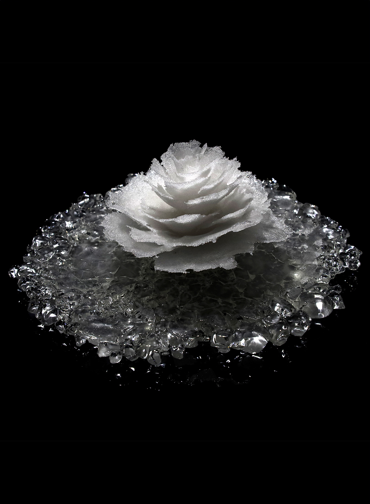 加藤千佳《frost flower》