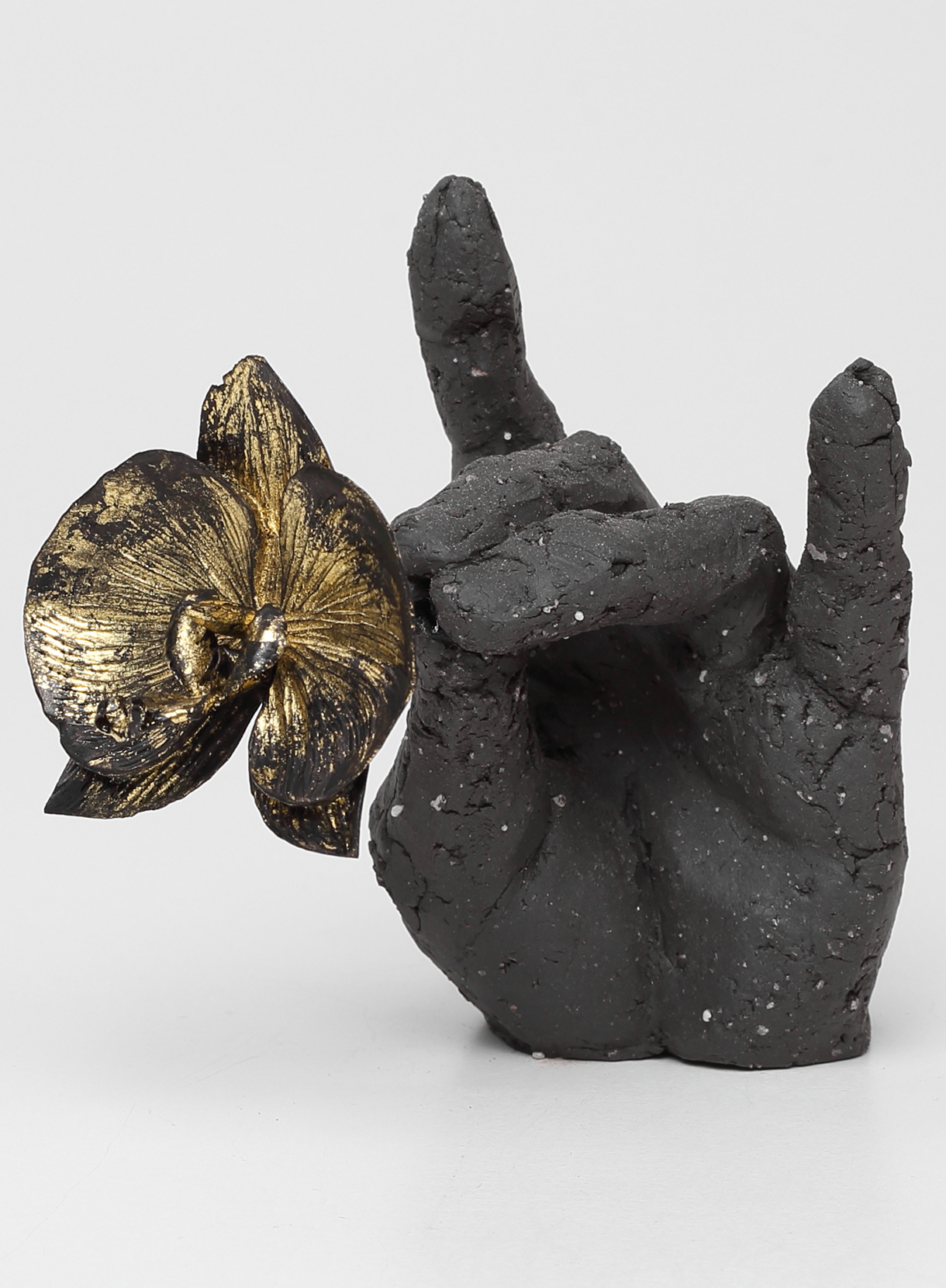 長谷川寛示 / Kanji Hasegawa《hand #1》