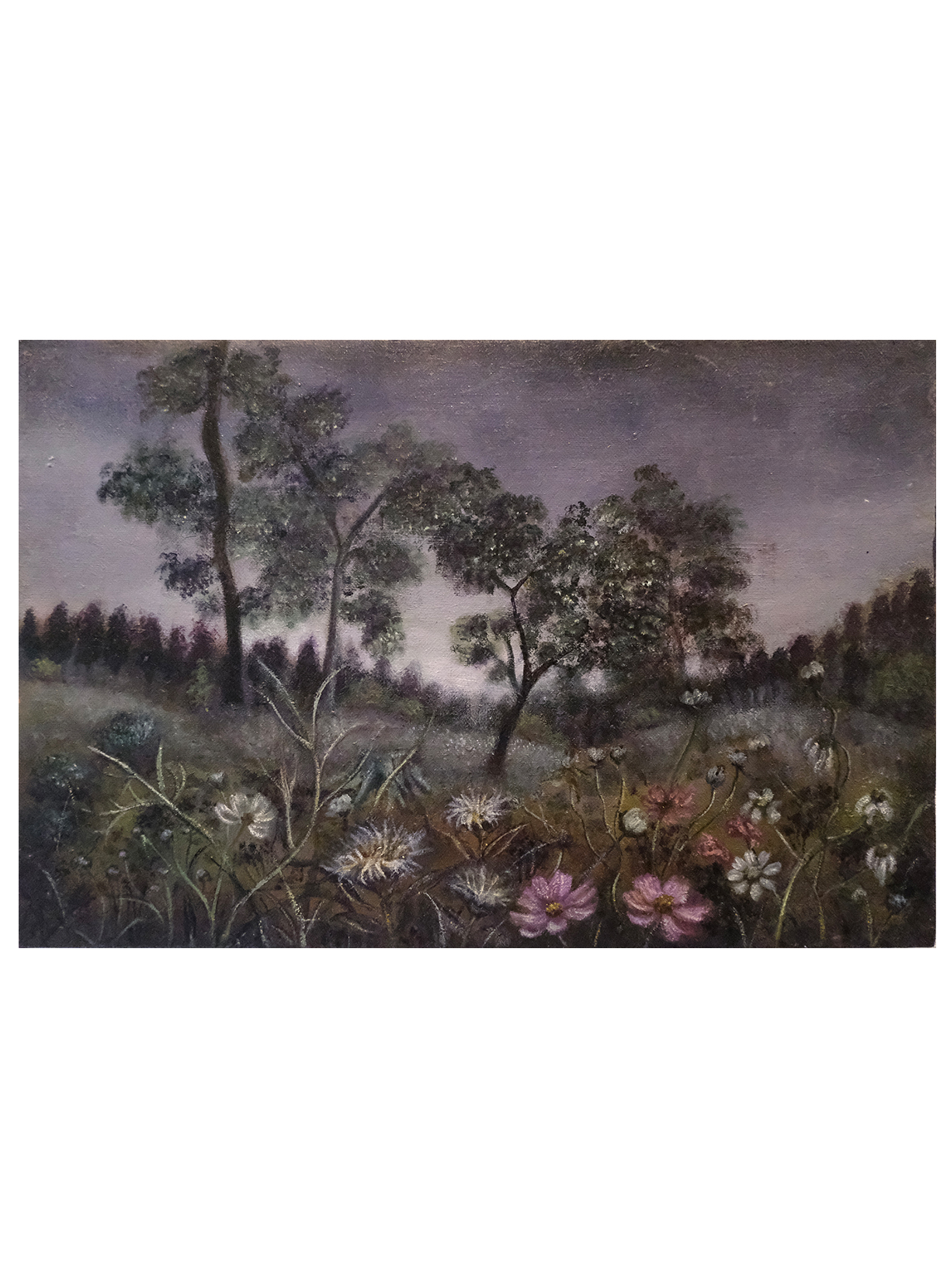 井下紗希 / Saki Ishita《枯野、ぬくもりを求めて。》