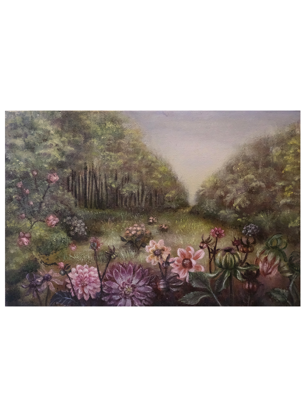 井下紗希 / Saki Ishita《まだ見ぬ森の中へ。》