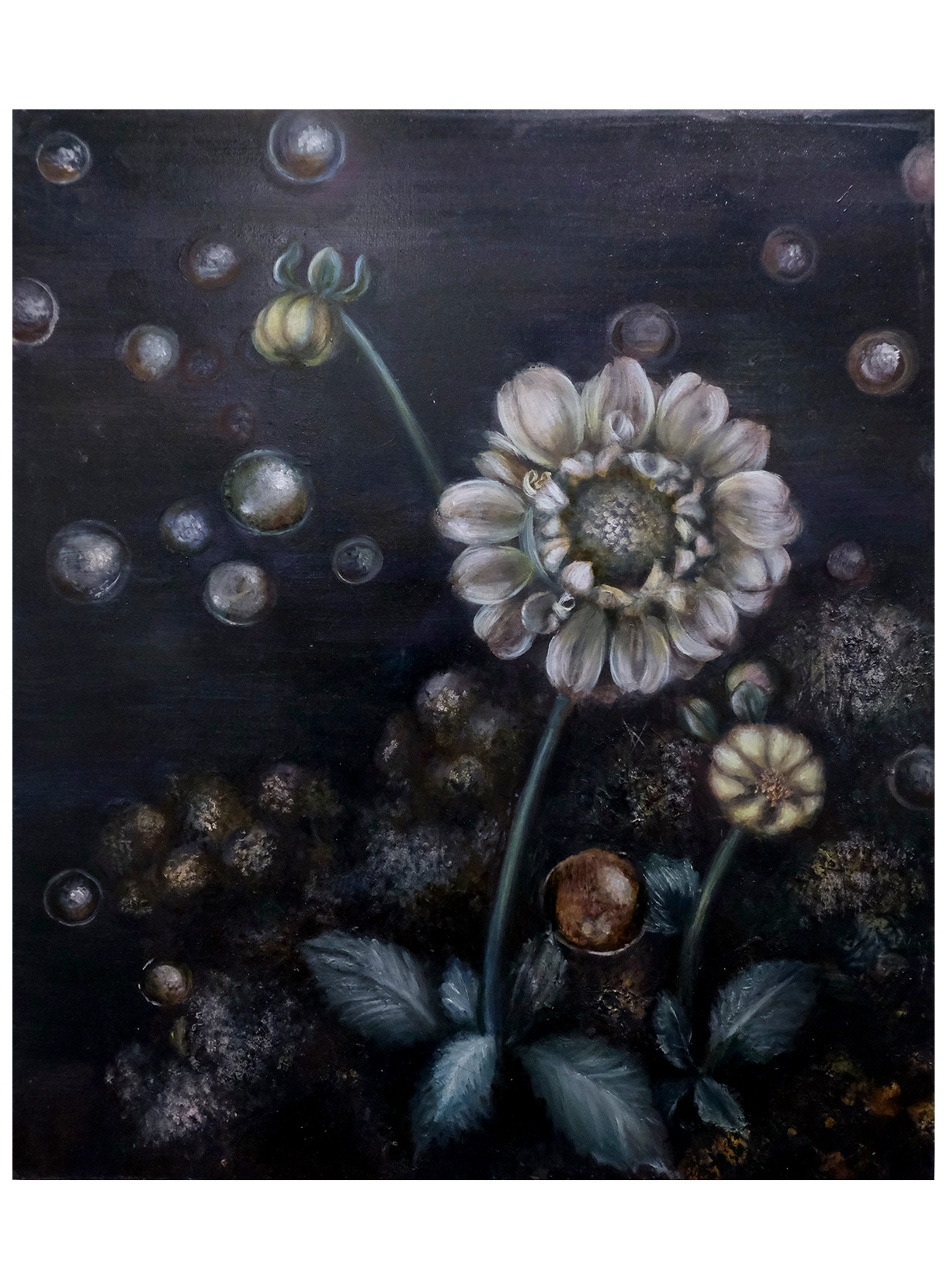 井下紗希 / Saki Ishita《水中の花》