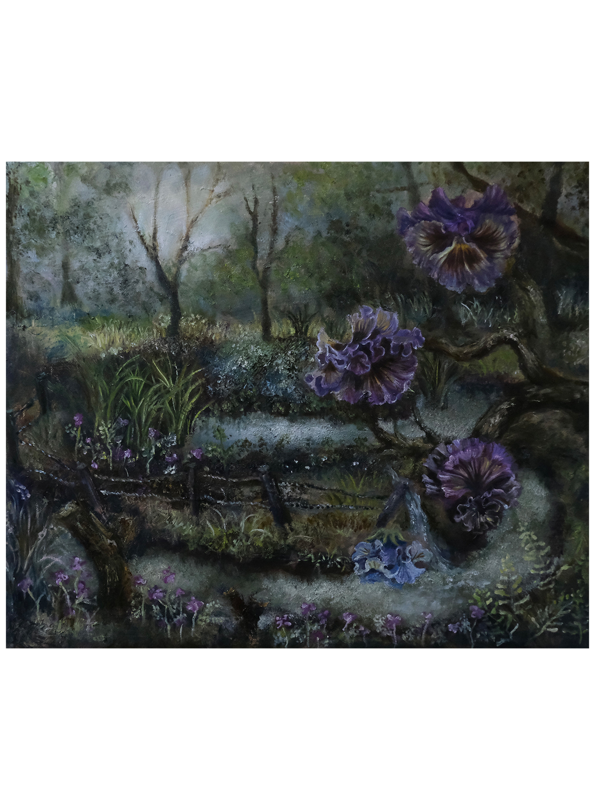 井下紗希 / Saki Ishita《水源》